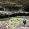 2018 Red River Gorge